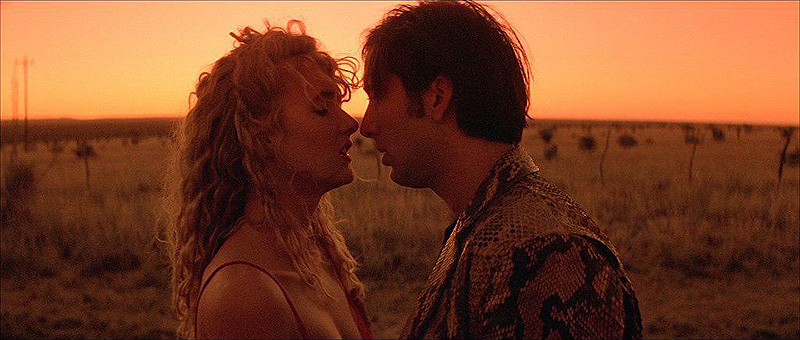 wild at heart streaming free