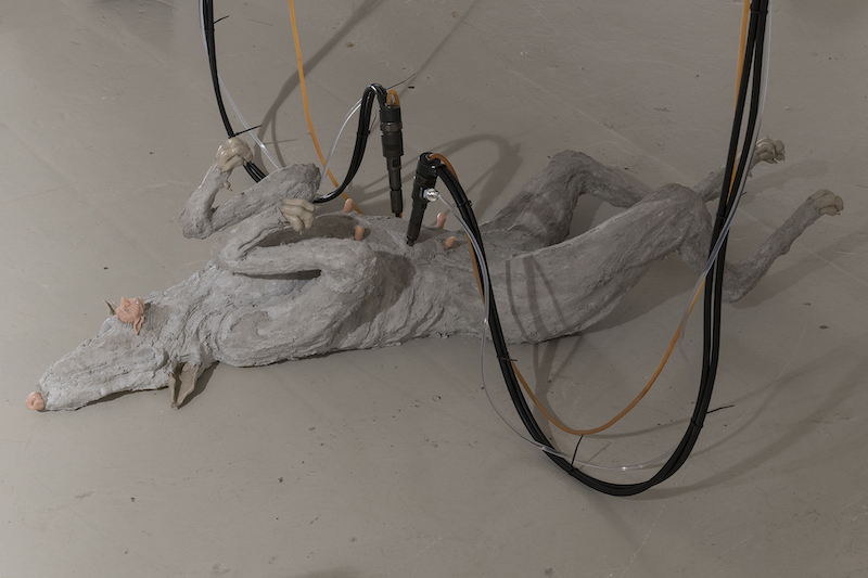 Paco Chanivet y Guillermo Ros, escultura de perro de cemento y resina que tiene cables conectados en el estomago
