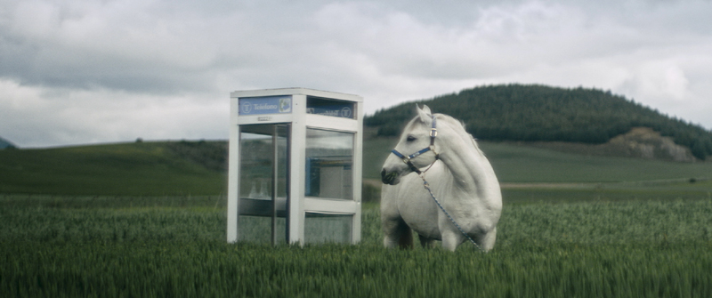 Irten barrura: un caballo junto a una cabina telefónica.