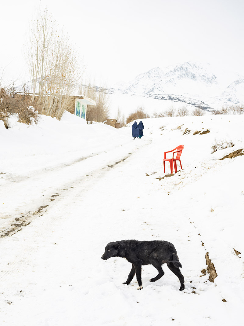Cristina de Middel - foto de paisaje nevado con perro en primer plano