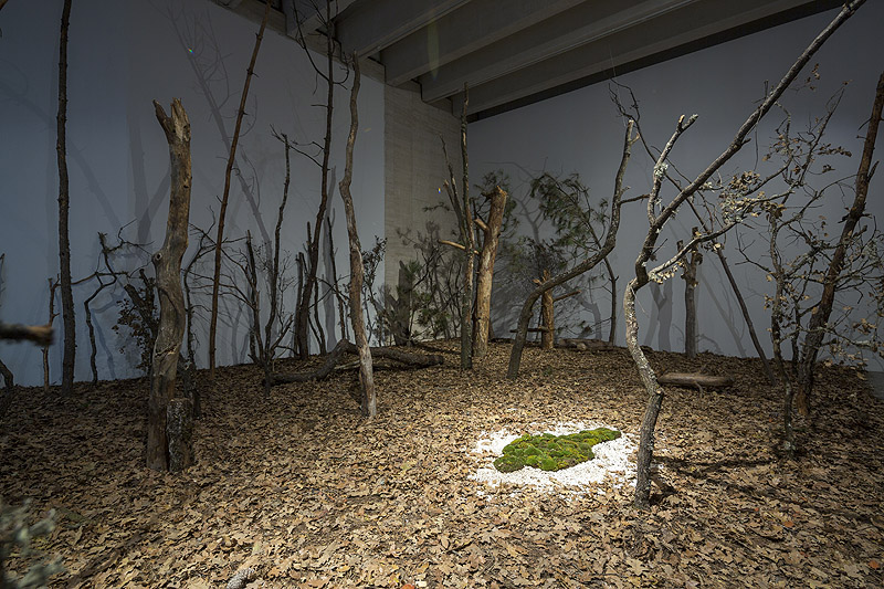 Exposición de Ana Mendieta. Imagen de instalación con elementos naturales como árboles, cesped y tierra.