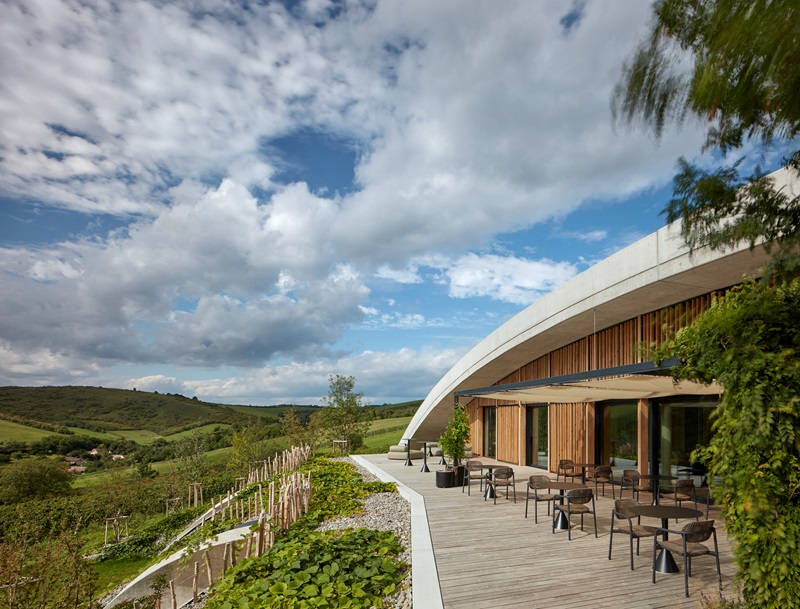 Aleš Fiala-Gurdau Winery: terraza de la bodega con madera y hormigón