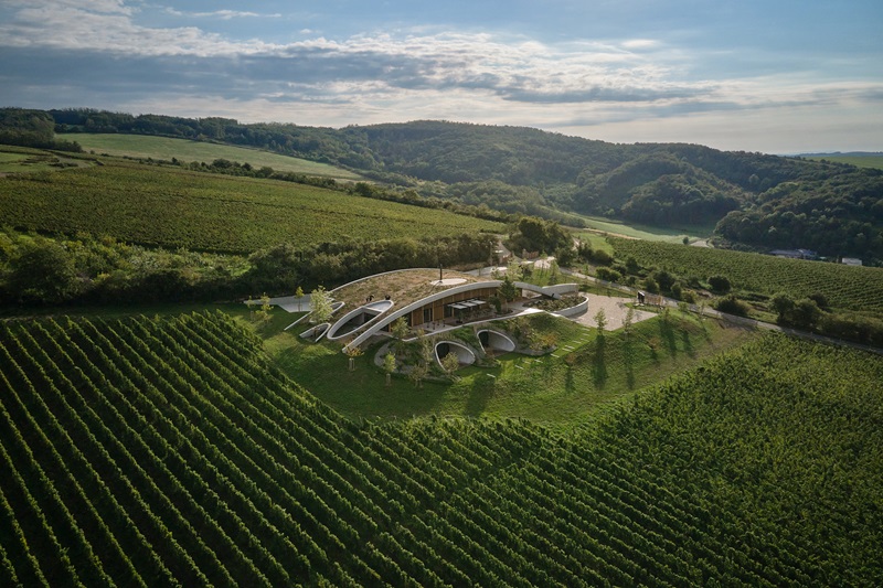Bodegas-naturales-Gurdau-Winery: vista aérea de la bodega de forma orgánica en plena naturaleza