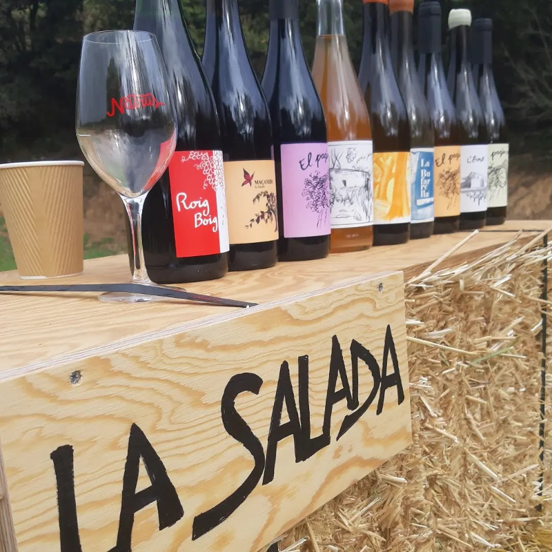 Vinos naturales productores España: botellas de vino de Celler La Salada