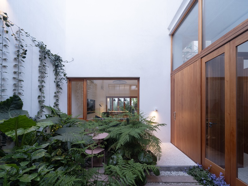 Estudio-Damero-Casa-Planes: patio de entrada ajardinado con puerta de madera