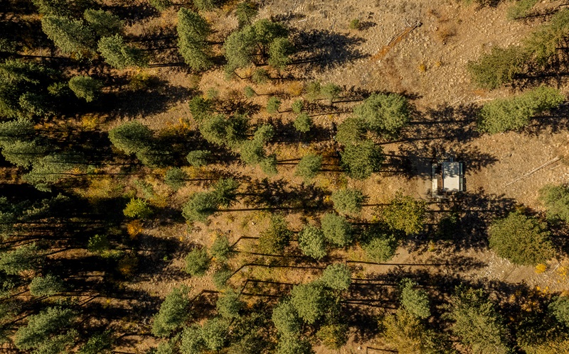 GO-C-Tinyleaf: vista aérea de la cabaña entre el bosque