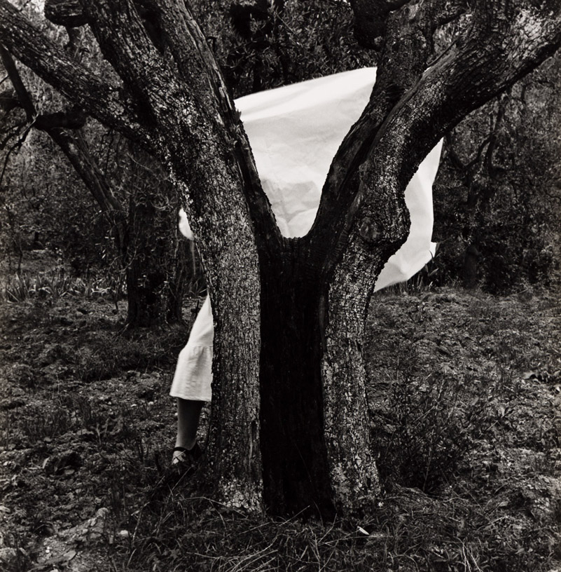 Loewe - Centenario Surrealista - foto en blanco y negro, se ve a un arbol y detrás una persona con una sábana blanca