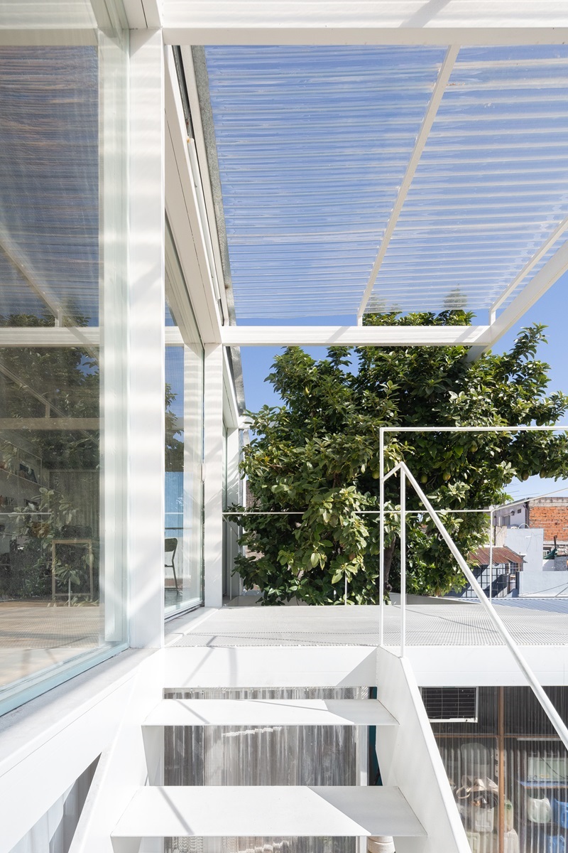 Morsa-Taller-Emilia-Pascarelli-Proyecto-Mutan: terraza metálica semicubierta con árbol verde