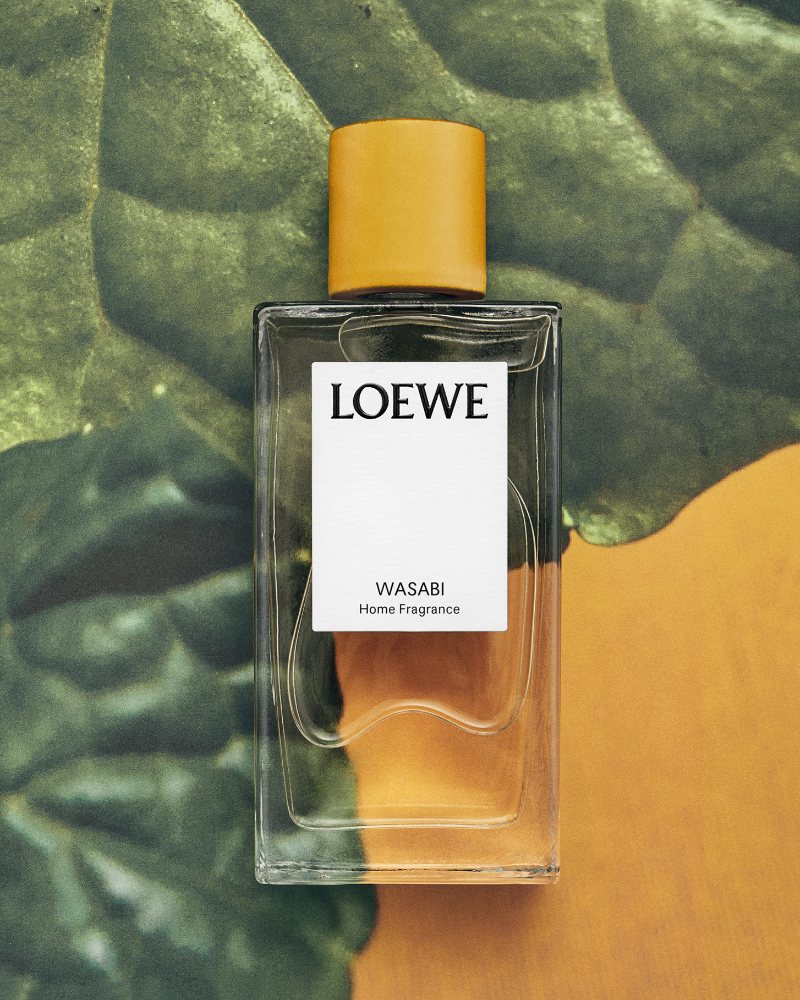 aroma picante wasabi loewe perfume