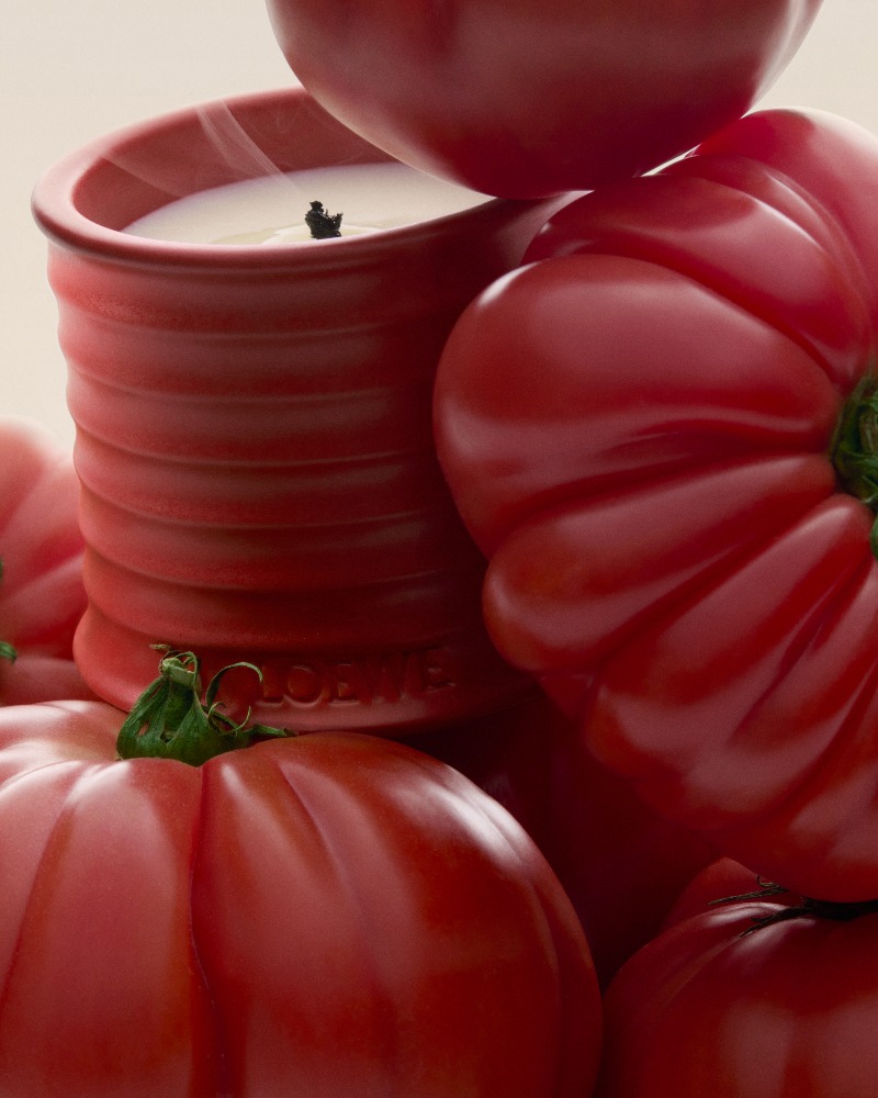 olor tomate loewe home scents