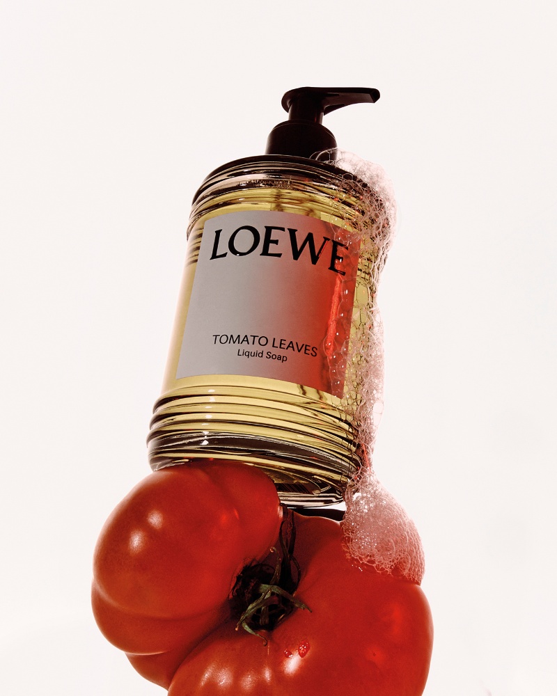 olor tomate loewe home scents