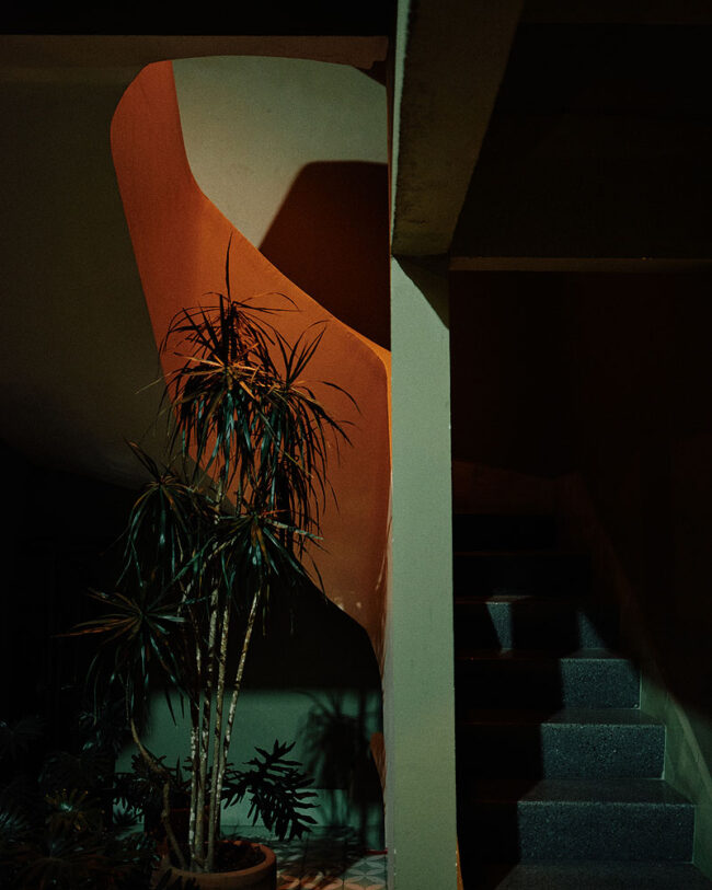photo basel - foto interior de vivienda con escalera y plantas