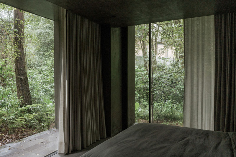 Pérez Palacios Arquitectos: la ventana de un dormitorio que da un bosque tupido