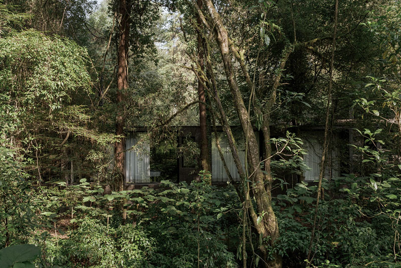 Pérez Palacios Arquitectos: la casa camuflada en la naturaleza