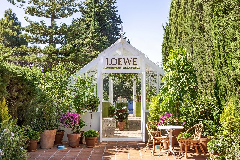 perfumes loewe hotel marbella club