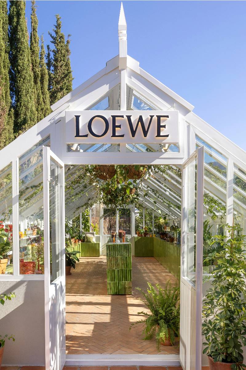 perfumes loewe hotel marbella club