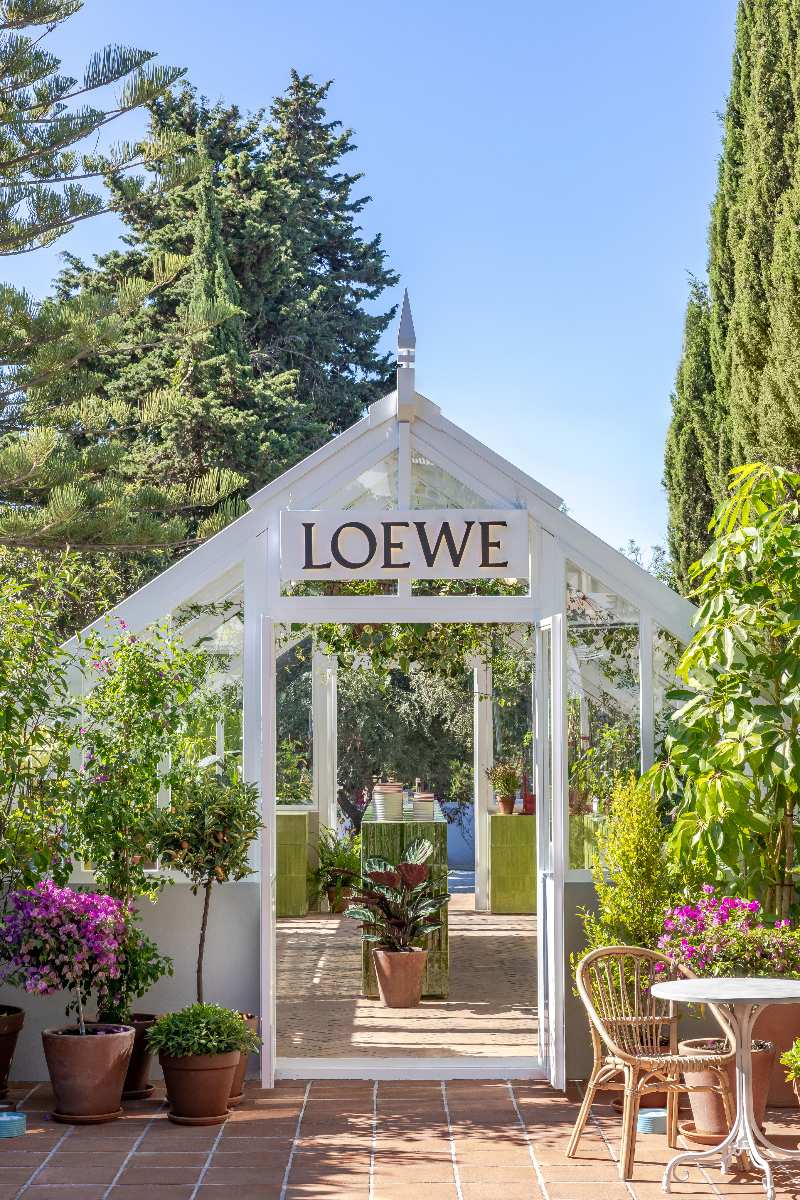 perfumes loewe hotel marbella club