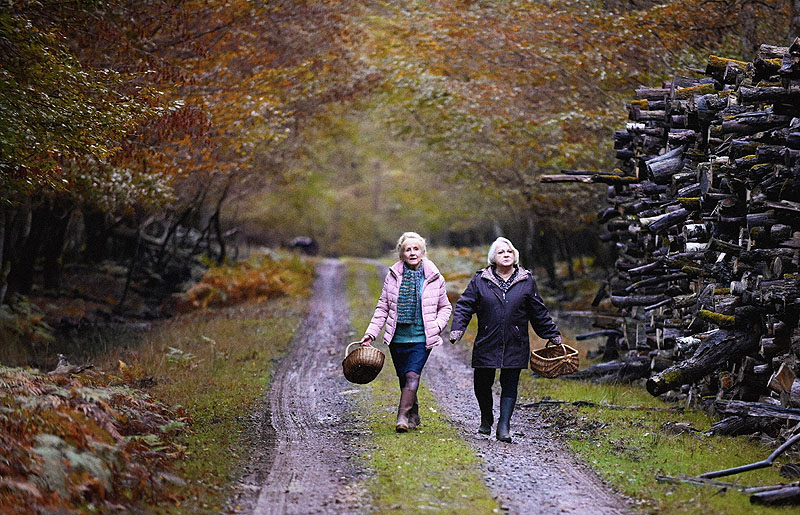 Cuando cae el otoño, fotograma de la película, se ve a 2 ancianas paseando por el bosque con sendas cestas de setas