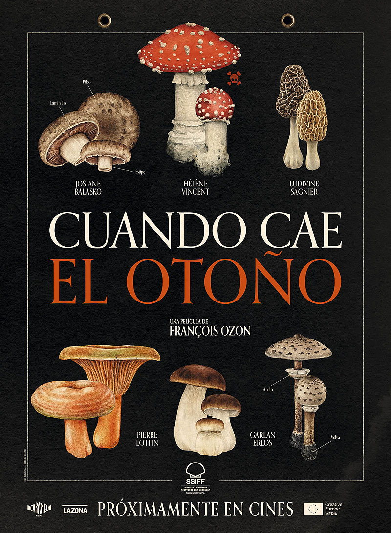 Cuando cae el otoño, poster de la película, con imágenes de setas