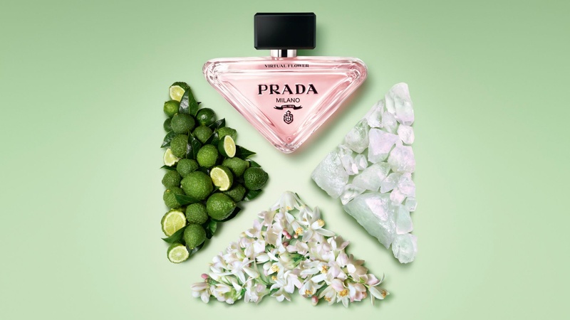 perfume floral musgo prada paradoxe