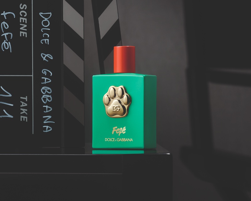 perfume perro dolce Gabbana fefe