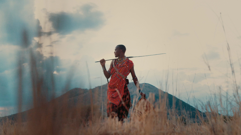 Imagen de una mujer en un paisaje campestre