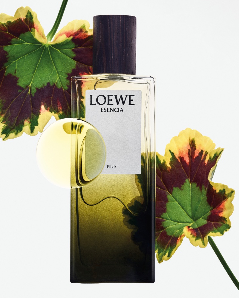 Nuevos perfumes Loewe Elixir 2024