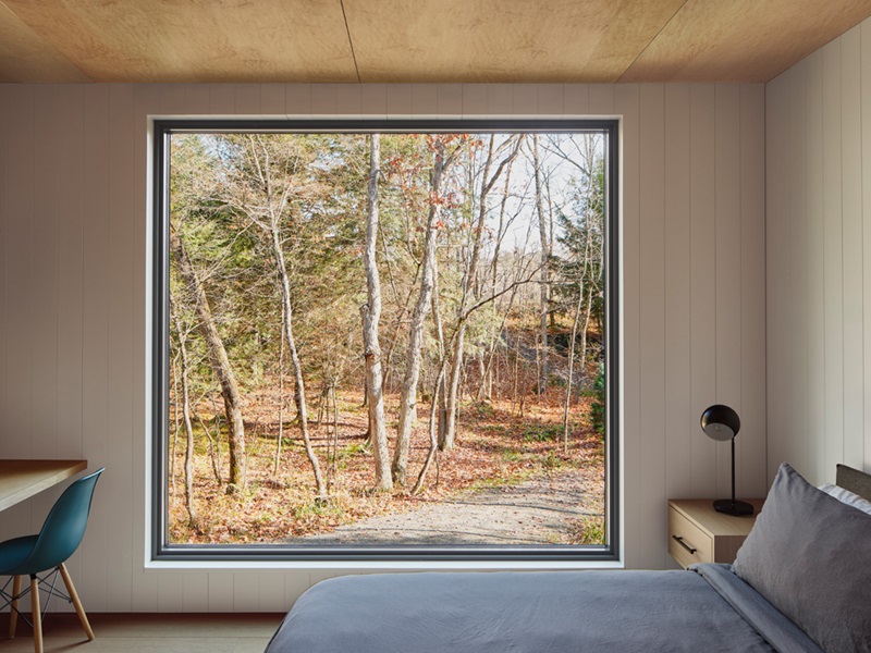 Bunkie On The Hill-Dubbeldam: dormitorio con ventana cuadrada con vistas al bosque