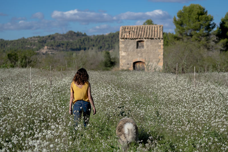 Los destellos, fotograma de la película imagen de la protagonista paseando por el campo con un perrete