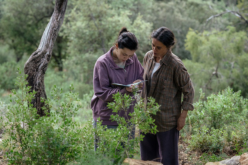 Los destellos, fotograma de la película imagen de la protagonista junto a su hija en el campo