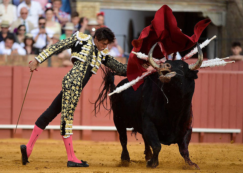 Tardes de soledad - fotograma de la película, se ve a un torero en plena faena