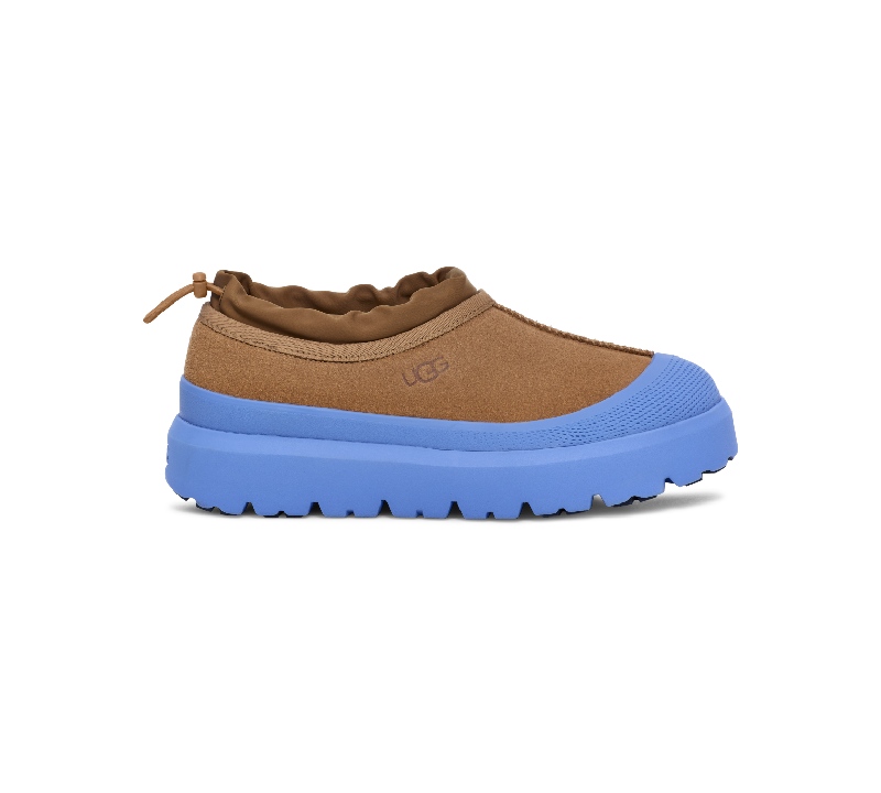 zapatos UGG hombre tasman