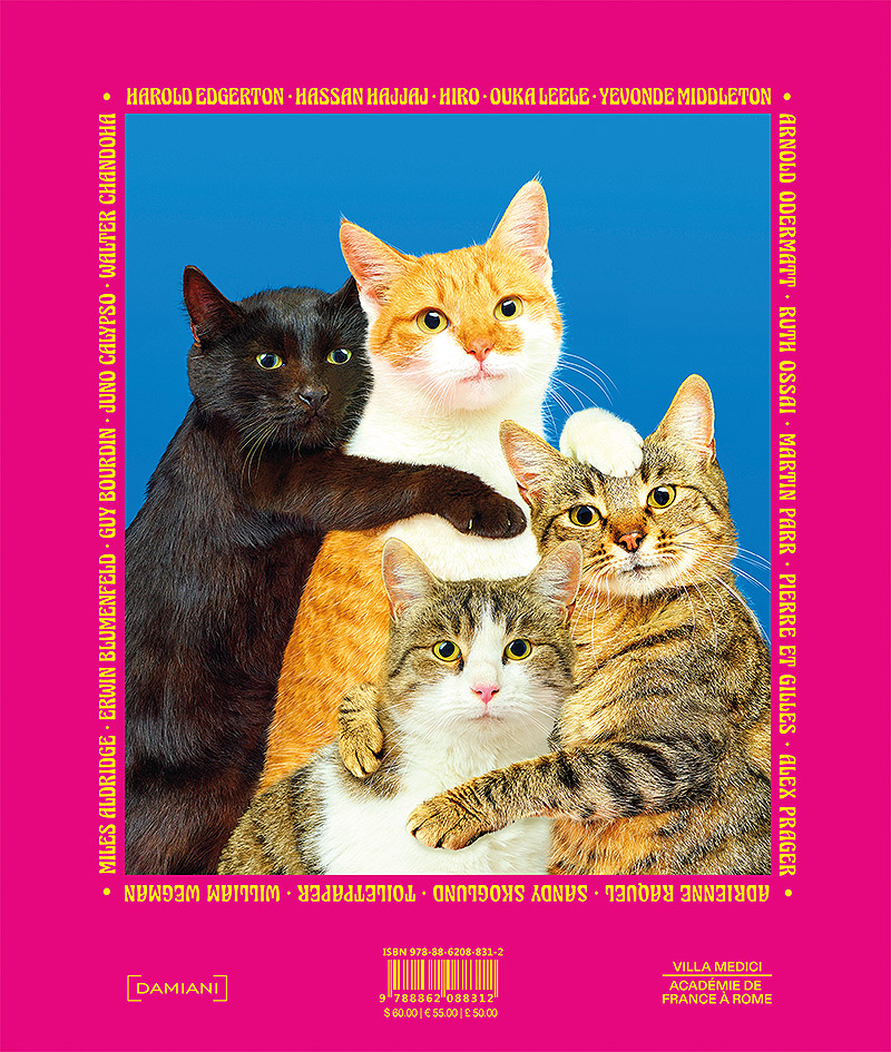 Chromotherapia. The Feel-Good Color Photography - contraportada de libro con Foto de gatitos abrazándose