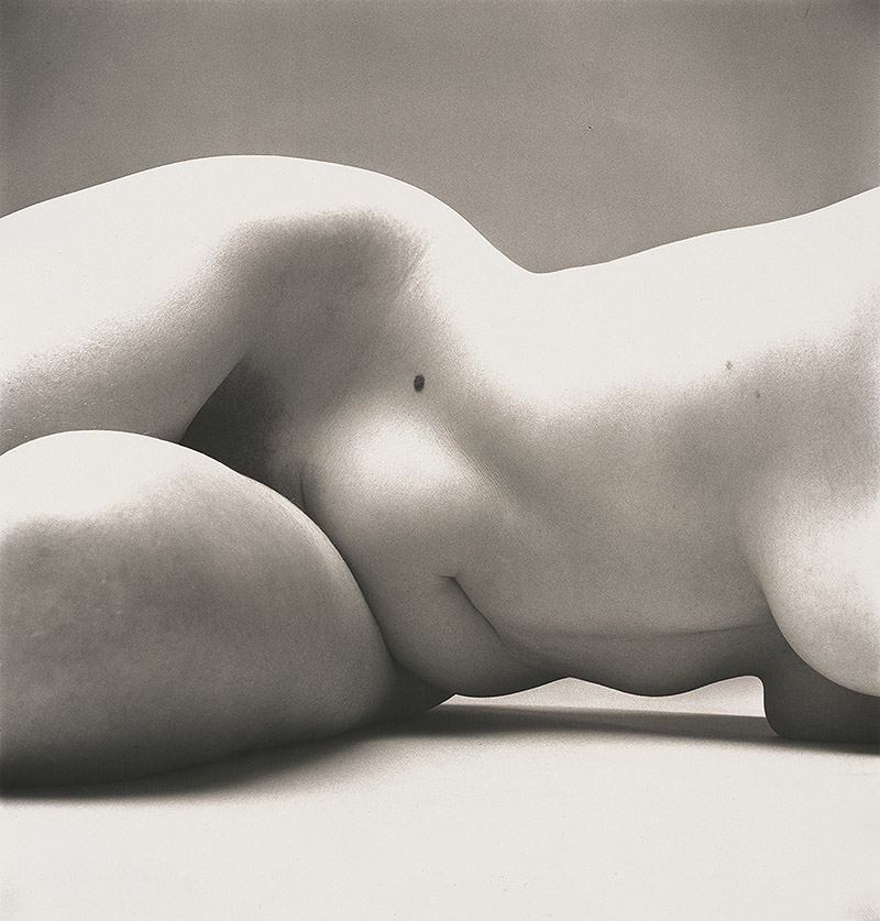 Irving Penn: Centennial. fotografía en blanco y negro de Irving Penn, torso de mujer 