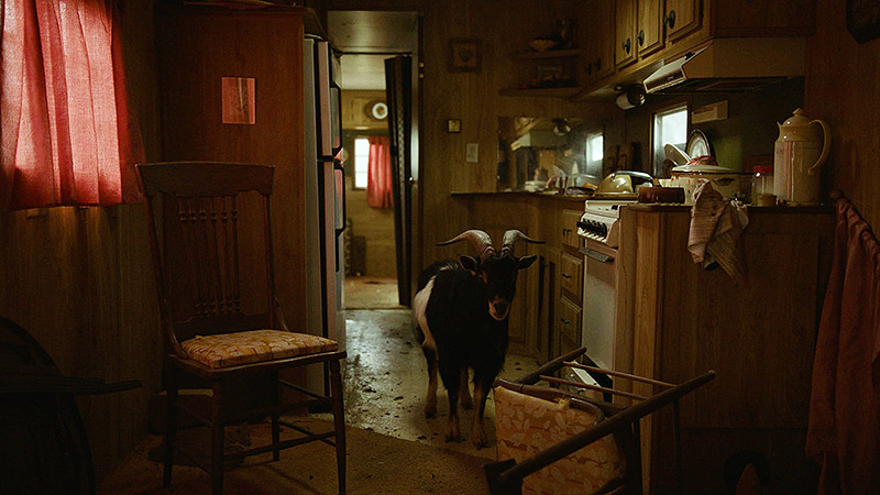 Fotograma de la película "The human hibernation" - se ve a una cabra en una cocina