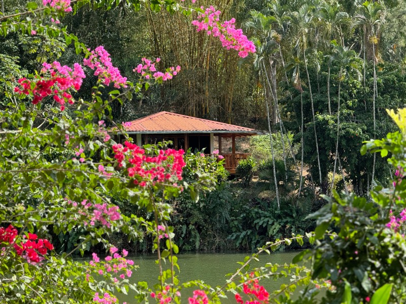 Airbnb: una casa en mitad de la naturaleza, cercana a una laguna que a su alrededor brotan coloridas flores.