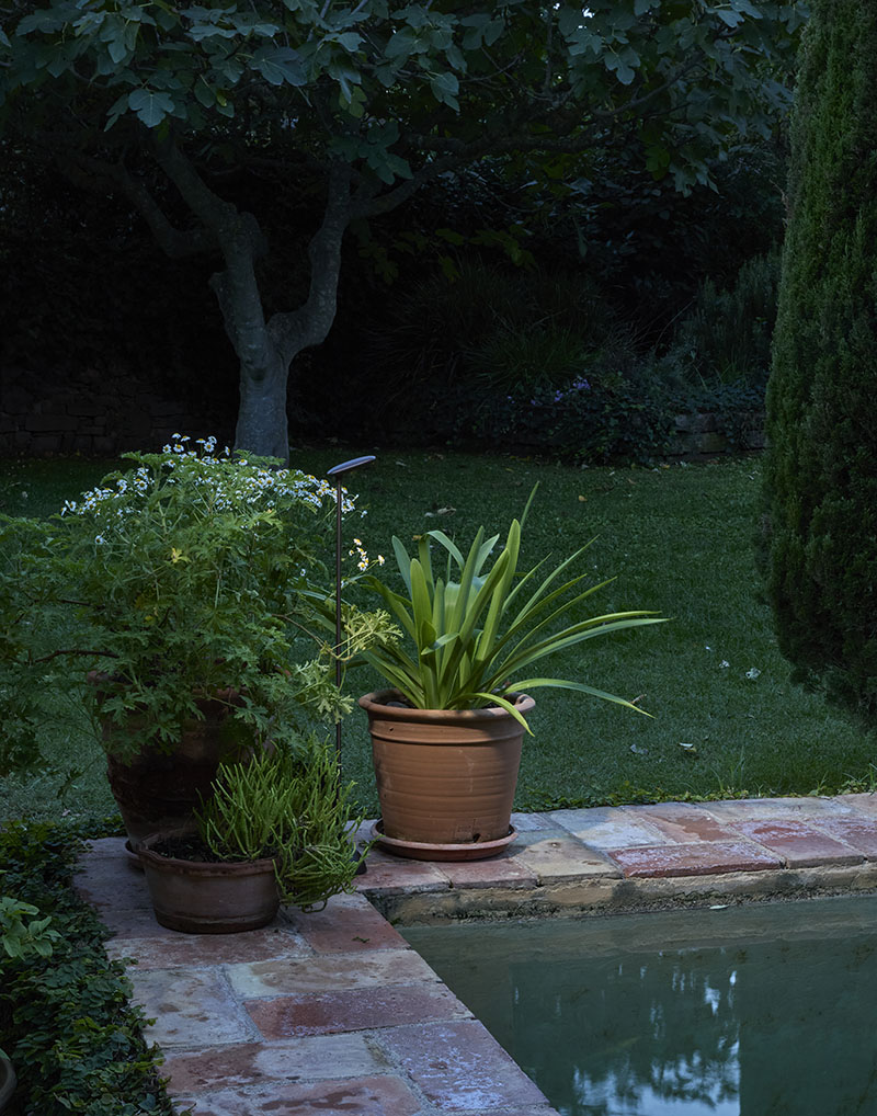 Birdie: una lámpara Birdie de exterior situada junto a una planta en la esquina de una piscina.