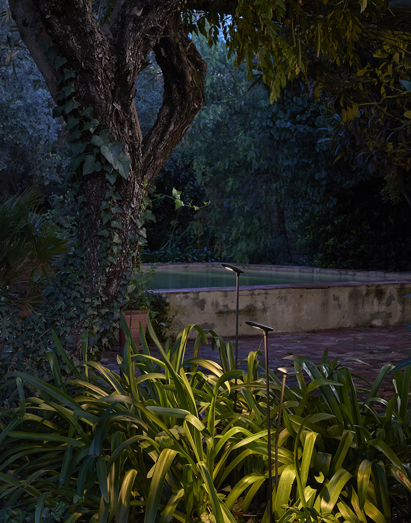 Birdie: dos luminarias Birdie de exterior encendidas se erigen entre las plantas del jardín emitiendo luz al atardecer.