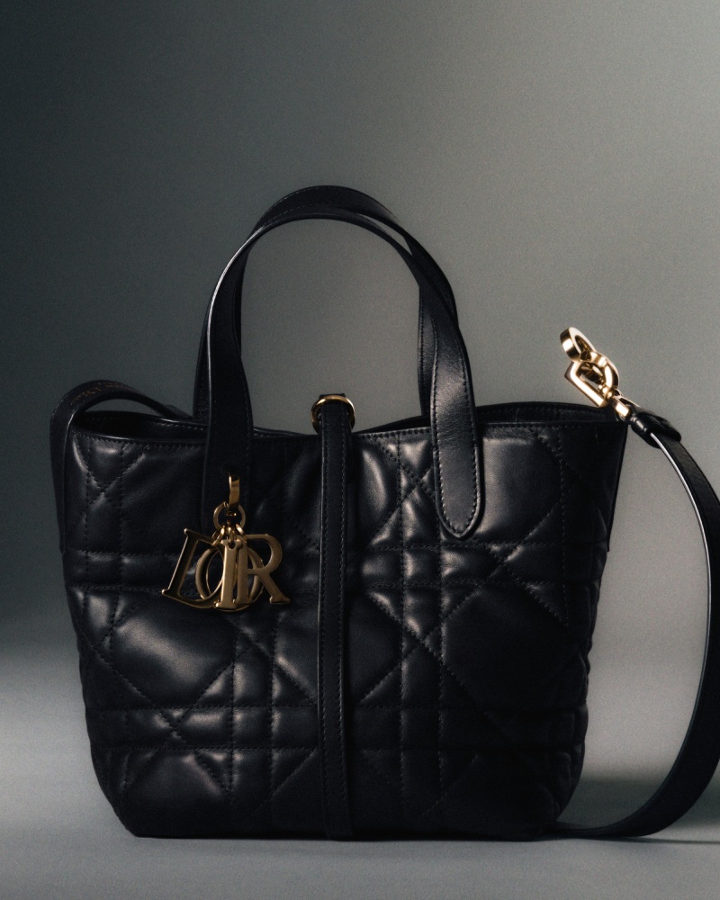 Nuevo bolso Dior Toujours Vertical