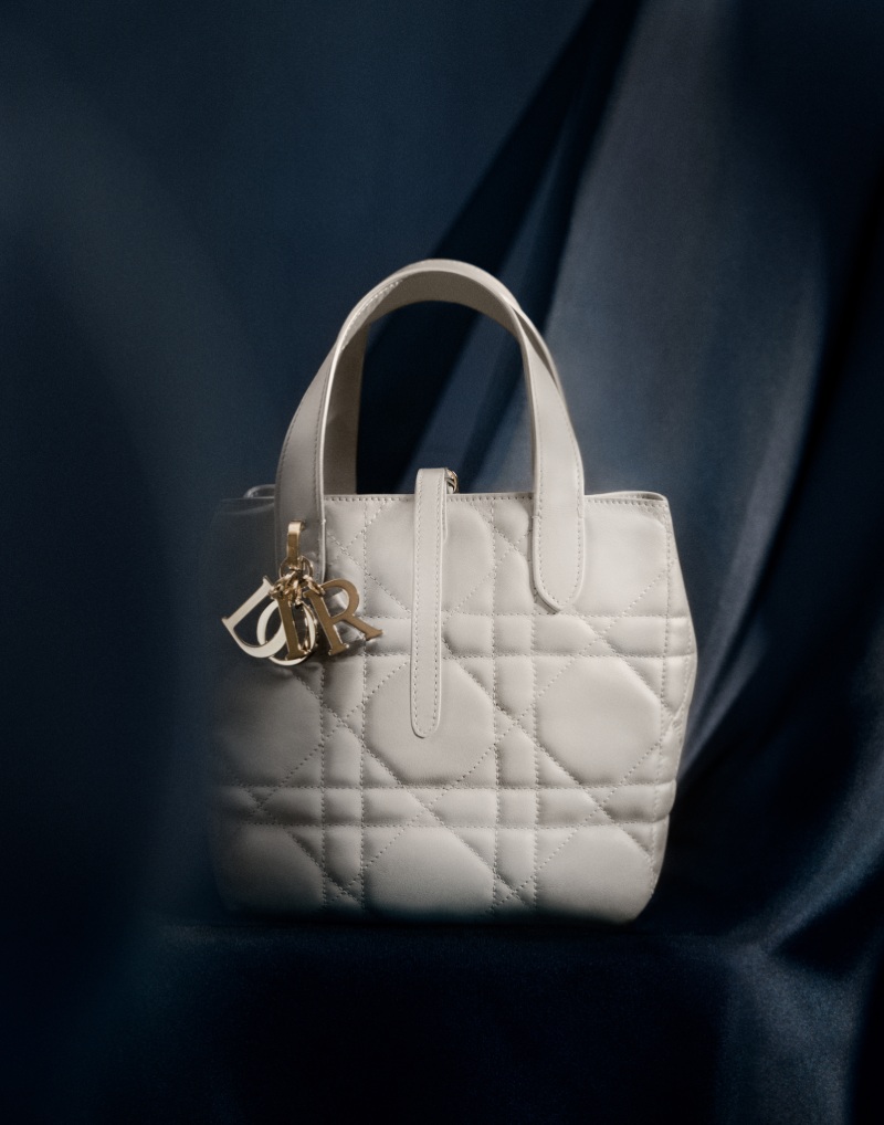 Nuevo bolso Dior Toujours Vertical