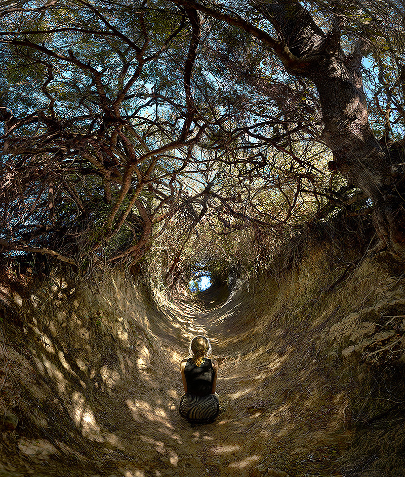 Ellen Kooi - foto de una mujer en el bosque