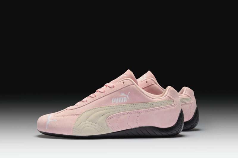 Nuevo Colorway Puma Speedcat