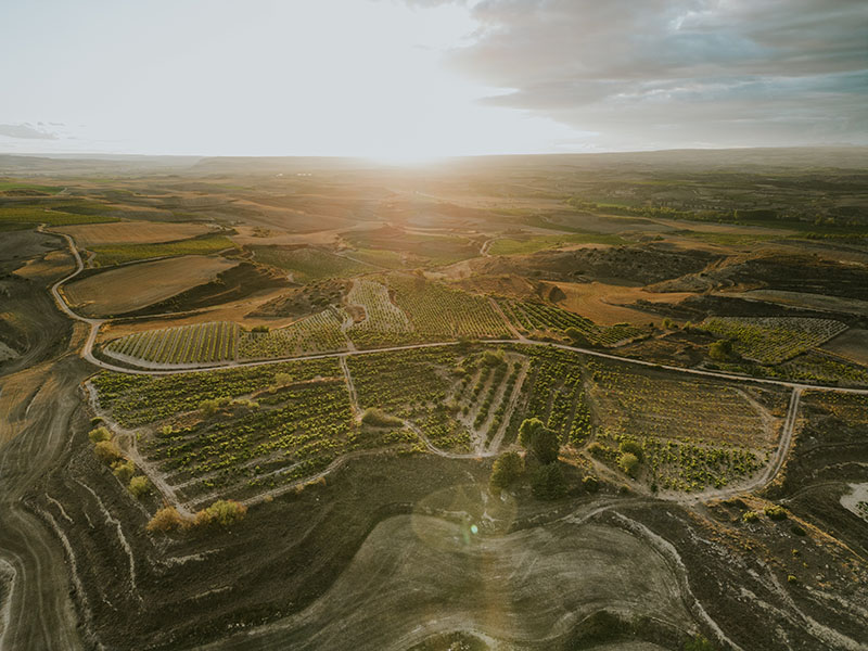 Vista aérea del viñedo Guardacumbres