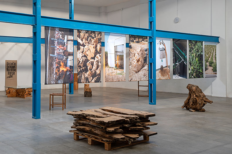 Serie de paneles fotográficos colgados en una estructura azul, documentando el proceso de extracción y transformación del olivo en Uprooted, exposición de Jorge Penadés en el Madrid Design Festival