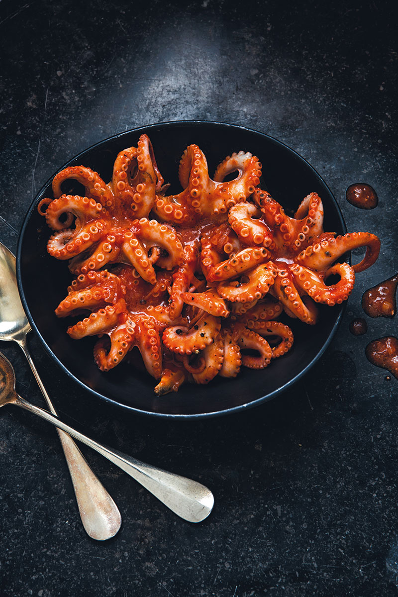 Moscardini con tomate, plato del libro de recetas con pulpo de Jean-Pierre Montanay