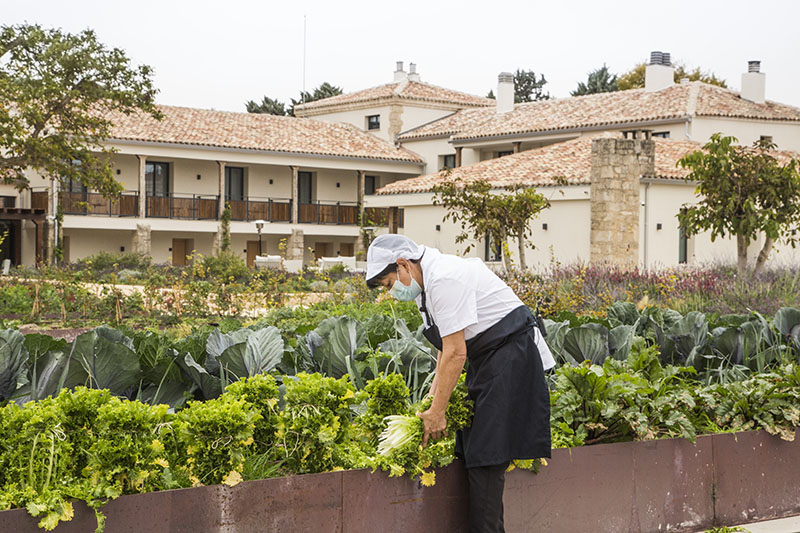 Mujer cosechando verduras frescas en el huerto de Quinta San Francisco