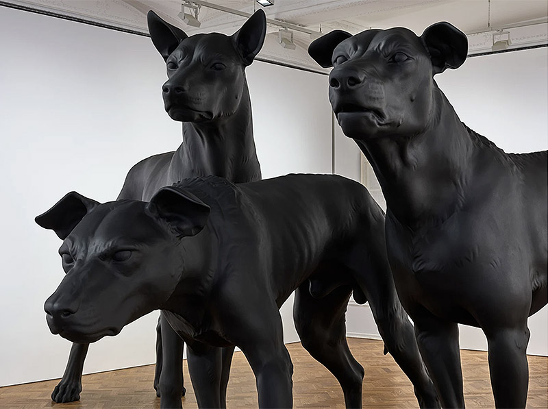 Ron Mueck / En Garde: Una colosal escultura de tres perros negros