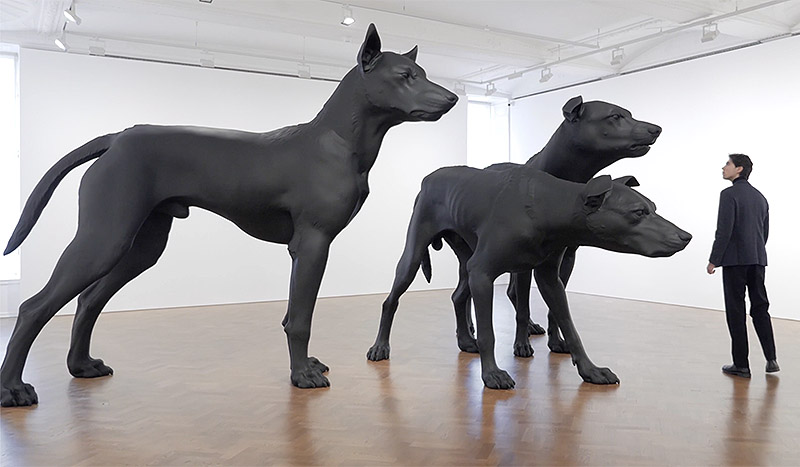 Ron Mueck / En Garde: Una colosal escultura de tres perros negros