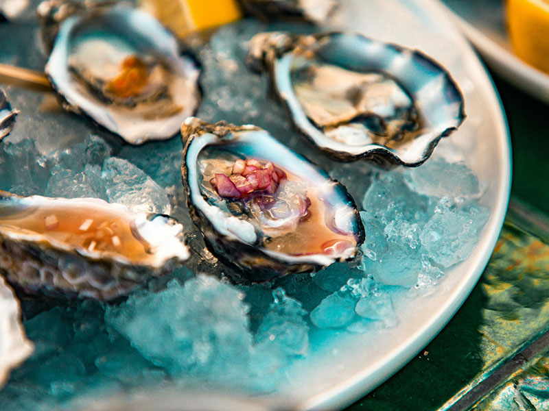 Un plato con ostras sobre hielo en el Oyster Bar del Club Financiero Génova