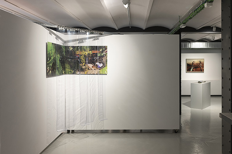 House of Chappaz presenta su exposición W.O.R.M. / 2022